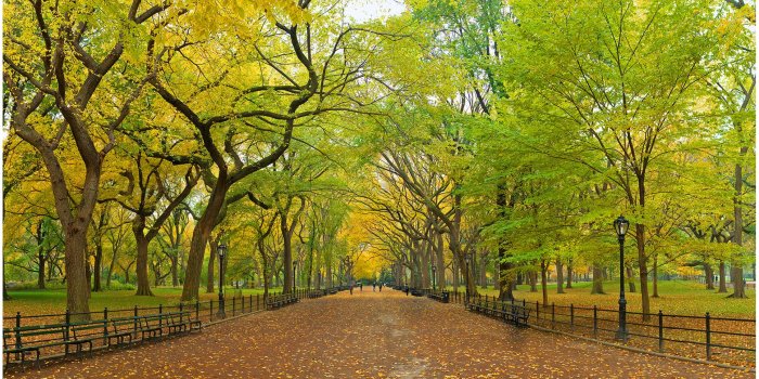 1935x1215 55+ Park Wallpapers - Download at WallpaperBro