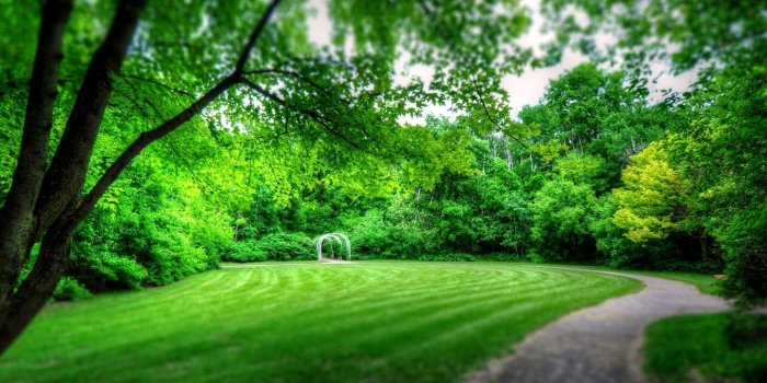 1440x900 Park Landscape Wallpaper In Spring Desktop Wallpapers High