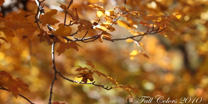 2560x1440 Desktop Wallpapers - Guadalupe Mountains National Park (U.S.
