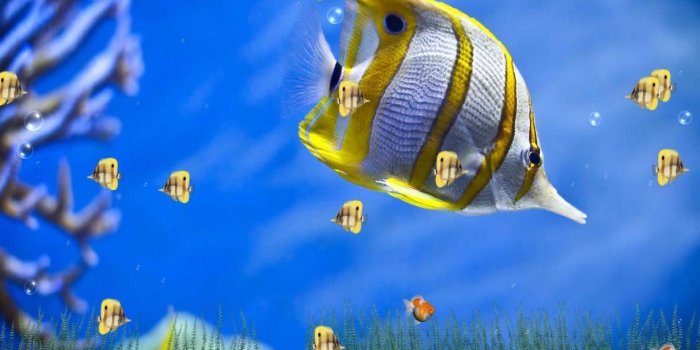 1536x960 3D Wallpapers For Desktop Free Download With Animation For Windows 7