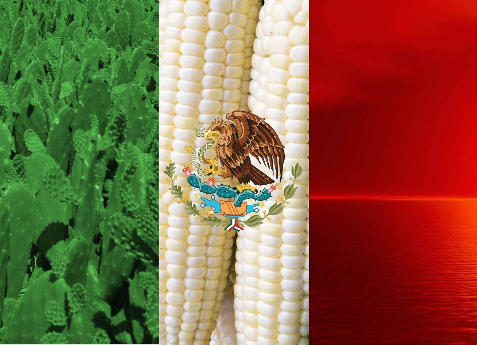 2196x1588 free download cool mexican wallpaper | ololoshenka | Mexico flag