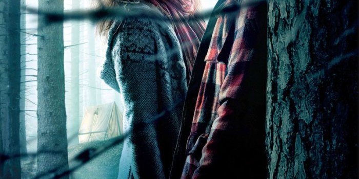 800x1280 Hermione And Ron Weasley From Harry Potter And The - Harry Potter