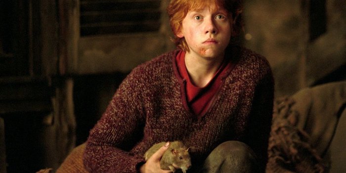 1024x768 Ronald Weasley Wallpaper - Ronald Weasley Wallpaper (25504628) - Fanpop