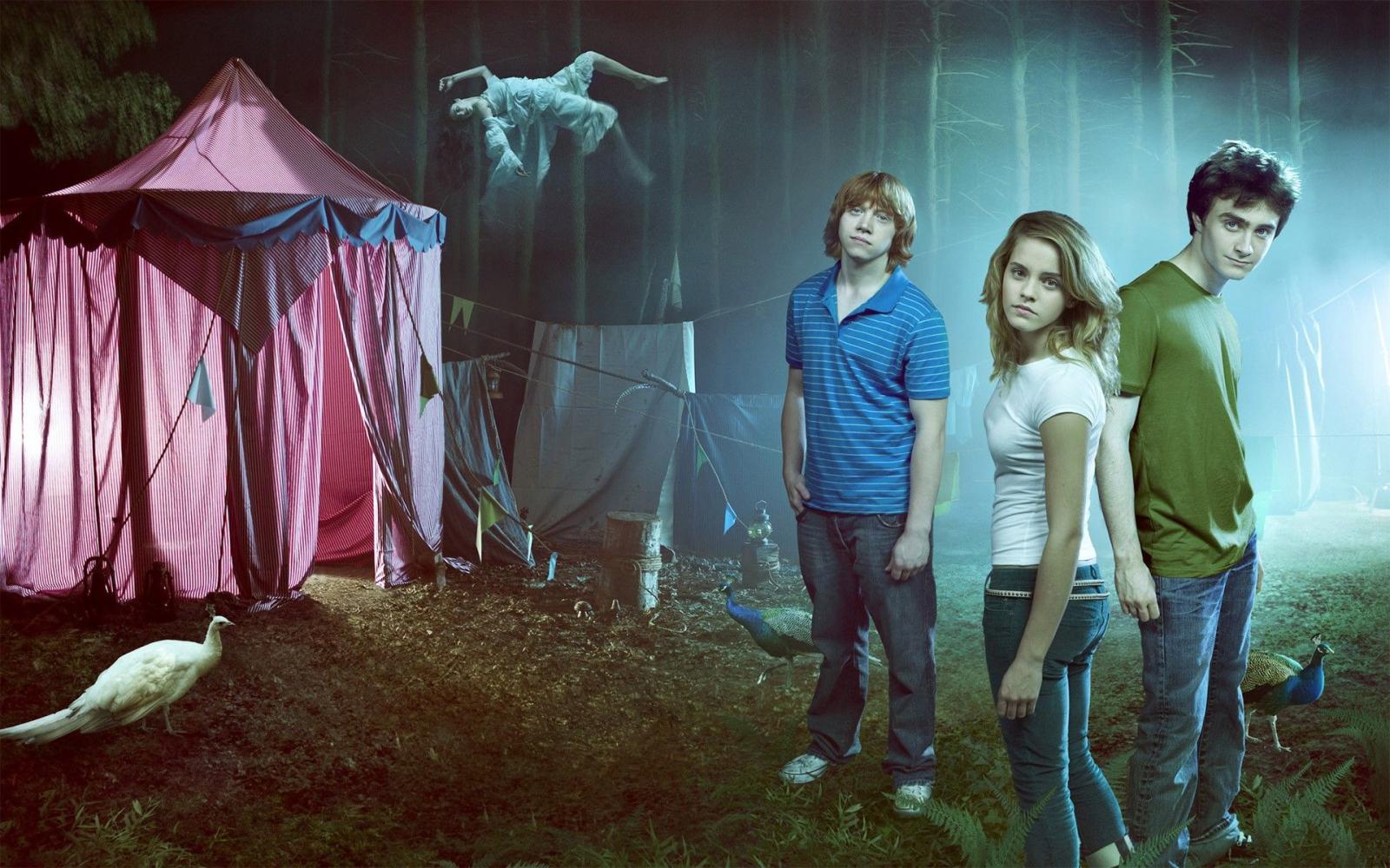 1920x1200 2829901 harry potter tents hermione granger ron weasley peacocks