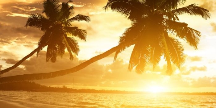 768x1024 Amazing ❤ 4K HD Desktop Wallpaper for 4K Ultra HD TV • Dual Monitor