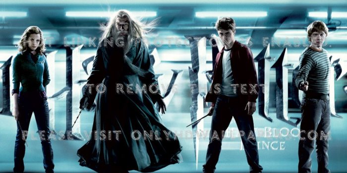 1024x768 Albus Dumbledore ron weasley