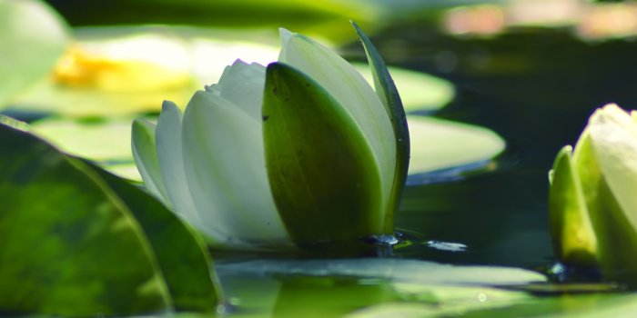 5120x1440 Amazing Desktop Wallpapers For Widescreen Download Quality