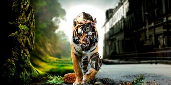 1310x810 Amazing Lion ❤ 4k Hd Desktop Wallpaper For 4k Ultra - Adršpach