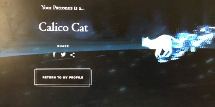 1024x768 I Got Another Patronus?! | Harry Potter Amino