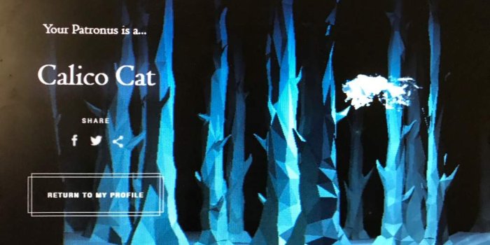 1024x768 I Got Another Patronus?! | Harry Potter Amino