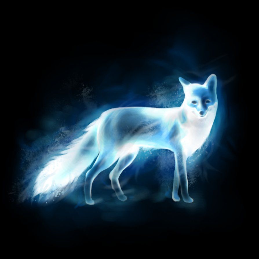 894x894 Patronus Fox Wallpaper Related Keywords & Suggestions - Patronus Fox