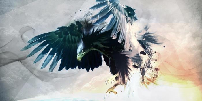 1920x1080 40+ Bird Anime Wallpapers - Download at WallpaperBro