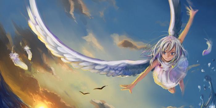 1920x1200 Angel Anime Birds Girl Wings HD Wallpaper Download HD Background