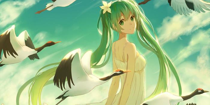 1699x1399 flower in hair, clouds, Hatsune Miku, long hair, anime, birds