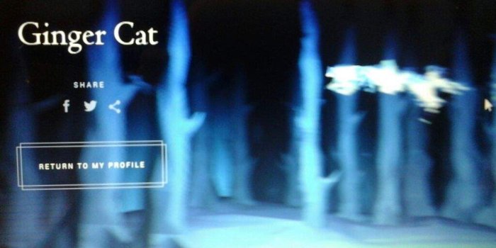1024x768 Ginger Cat Patronus | Best Cat Cute Pictures, Meme, Cartoon, Images.