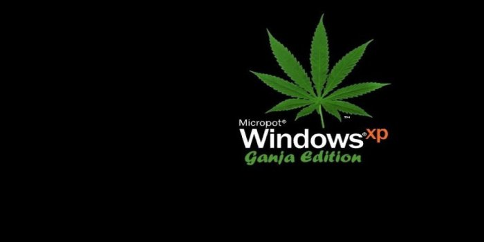2880x1800 47+] Marijuana Wallpapers for Windows 8 on WallpaperSafari
