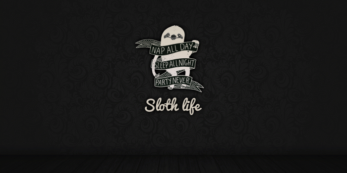1920x1080 Sloth life [1080p] | Art | Funny wallpapers, Code wallpaper, R wallpaper