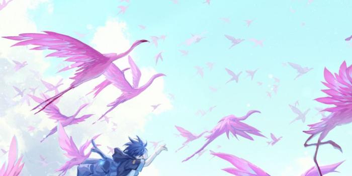 950x1534 Download 950x1534 wallpaper birds, pink, anime boy, jump, outdoor