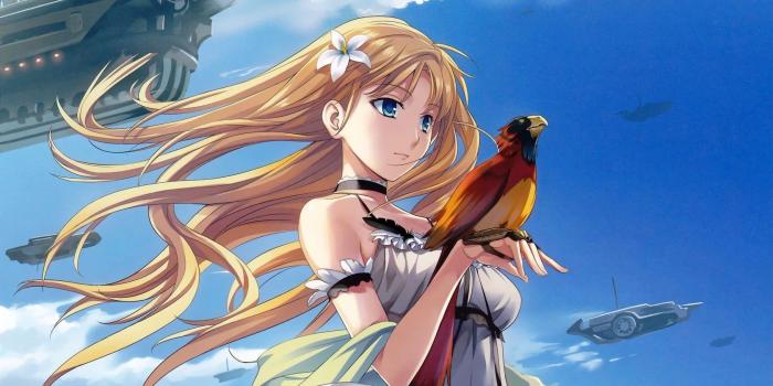 1680x1050 clouds, birds, anime, airship, soft shading :: Wallpapers