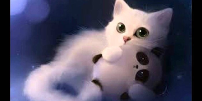 1280x720 43 SUBSCRIBER SPECIAL!: CUTE & FUNNY CAT WALLPAPERS!