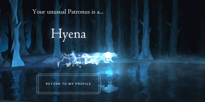 1280x720 vp/ - Pokémon » Thread #28714289