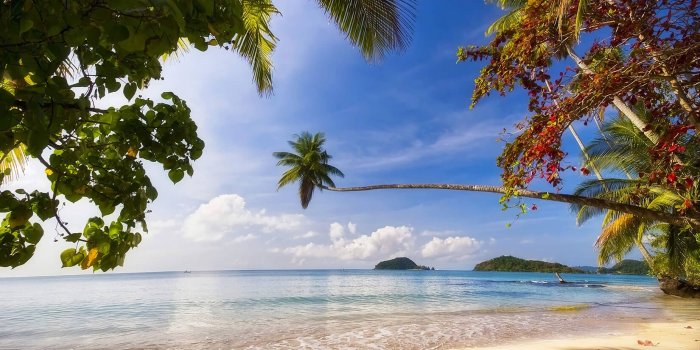 1650x1070 Caribbean Beach Wall Murals Wallpaper - Murals Wallpaper