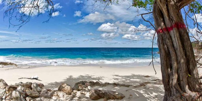 1024x768 Caribbean Beach Wallpaper. Welcome to Tropical Paradise