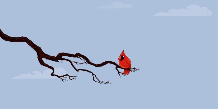 2560x1600 anime bird - Google Search | Art | Bird wallpaper, Cartoon wallpaper