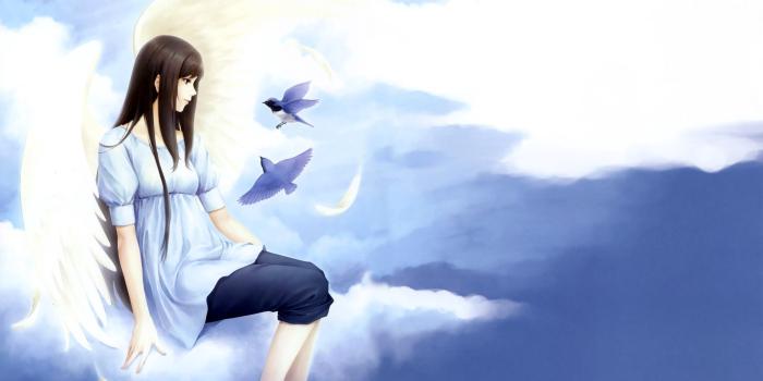 2560x1600 Anime Girl Brunette Sky Birds Flying - Free Stock Photos, Images, HD