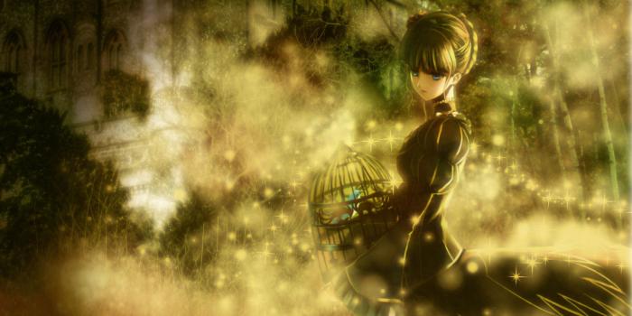 1920x1200 Girl with a cage for birds wallpapers and images - wallpapers