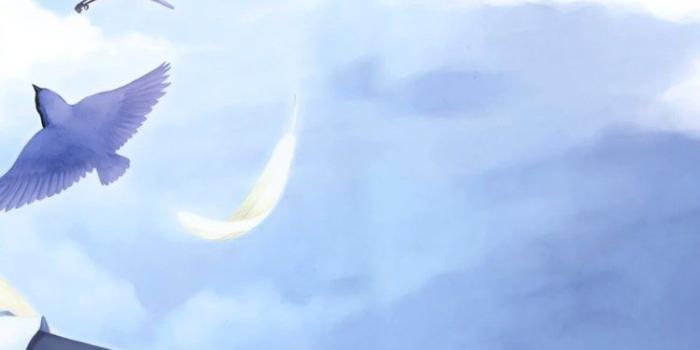 750x1334 Download iPhone 6, iPhone 6S, iPhone 7 750x1334 - Anime, Birds