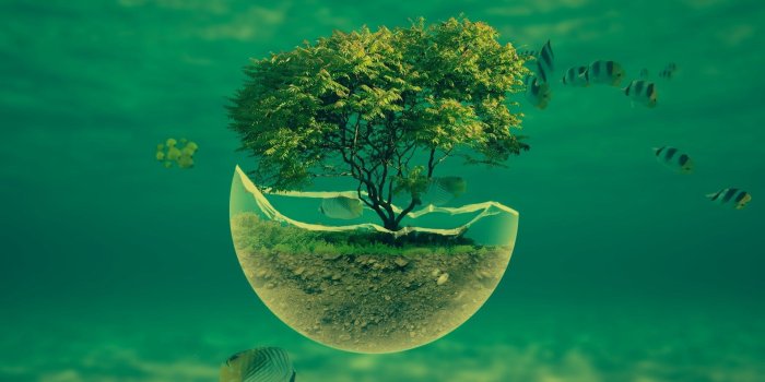 1920x1080 abstract tree desktop hd pictures 1080p | ololoshenka | Tree hd