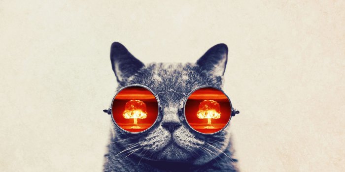 1920x1080 Funny Cat With Big Glasses HD Wallpaper | 1920x1080 | ID:33985