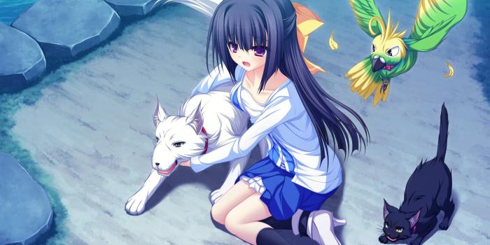 1920x1080 anime girls, Birds, Dog, Cat, Animals, Visual novel, Lunaris Filia