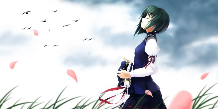 2560x1440 Download wallpaper 2560x1440 anime, girl, wind, enjoying, birds