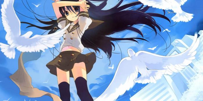 1600x1200 Desktop hd picture of bird download