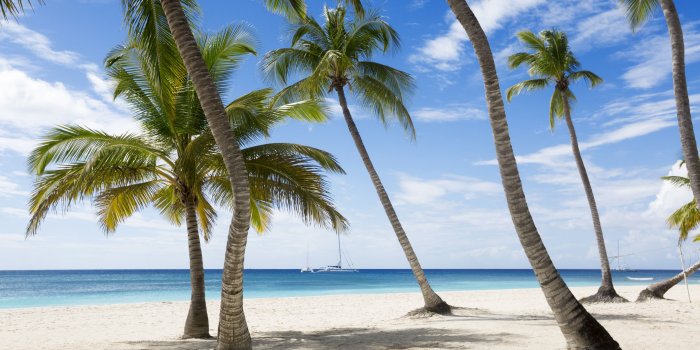 3840x2160 Wallpaper Jamaika, 5k, 4k wallpaper, The Caribbean, beach, palms
