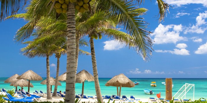 3840x2400 Wallpaper Resorts Caribbean beaches Nature Tropics palm 3840x2400