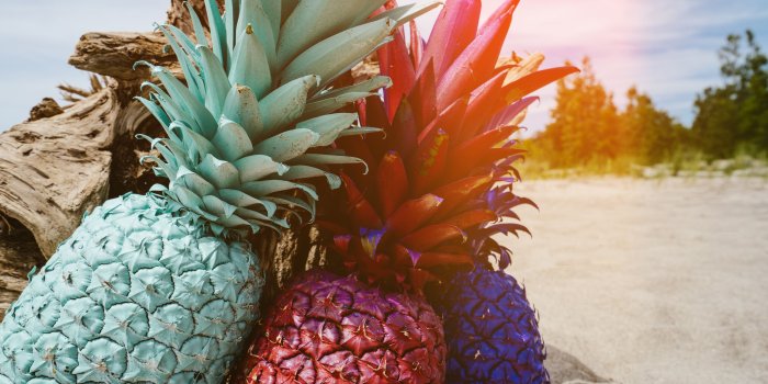 5716x3811 three teal, red and purple pineapple free image | Peakpx