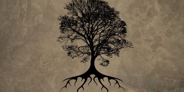 1920x1200 Tree Silhouette HD wallpaper | 1920x1200 | #32246