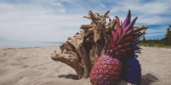 3840x2560 3080054 beach, beachlife, blue sky, fruit, painted, pineapple