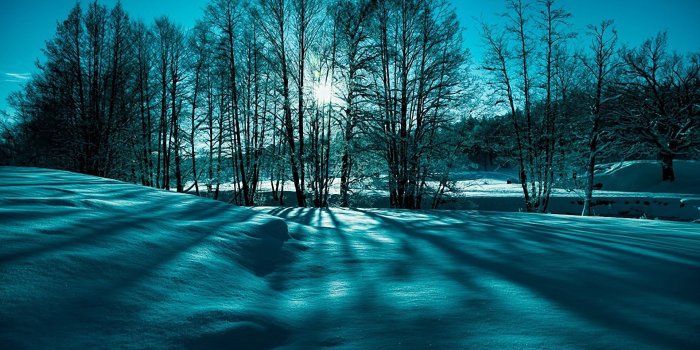 1920x1080 Tree wallpapers 1920x1080 Full HD (1080p) desktop backgrounds