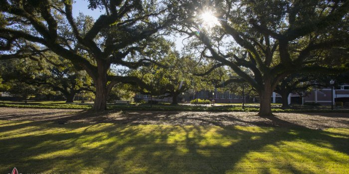 4500x2742 Download UL Lafayette Desktop Wallpaper | University of Louisiana at