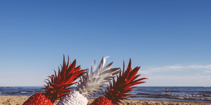 5926x3951 two red pineapples and white pineapple near shore free image | Peakpx
