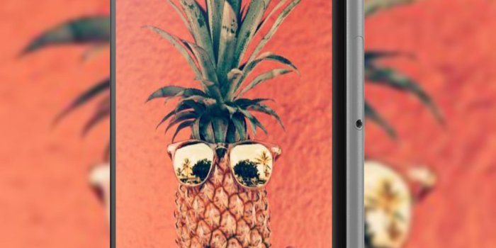 1709x2618 Cute Pineapple Wallpaper for Android - APK Download