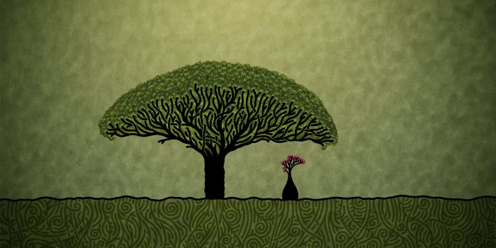 2560x1600 Tree Wallpaper Art (30+ images) on Genchi.info