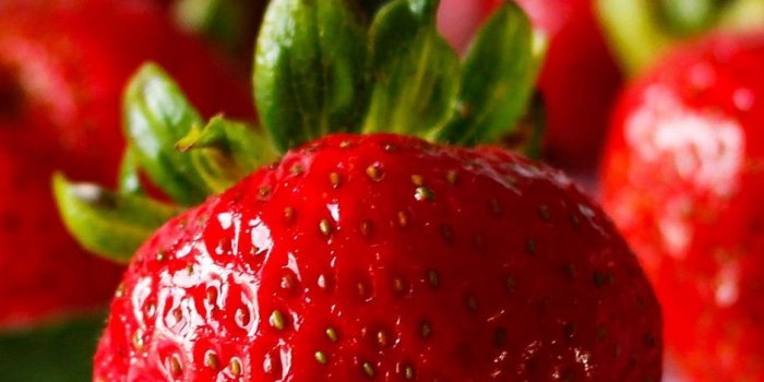 938x1668 Download wallpaper 938x1668 strawberry, berry, ripe, juicy, red
