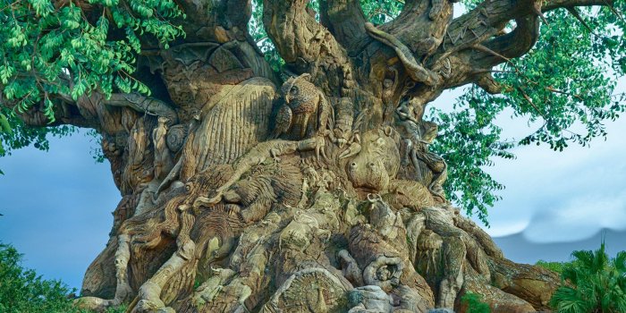 2048x1356 Trees Wallpaper Desktop - 52DazheW Gallery