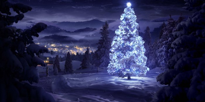 3840x2160 Decorated Christmas Tree Nature 4K Ultra HD Desktop Wallpaper