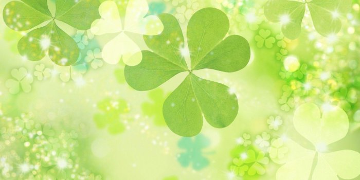 1920x1200 Green Flower Backgrounds